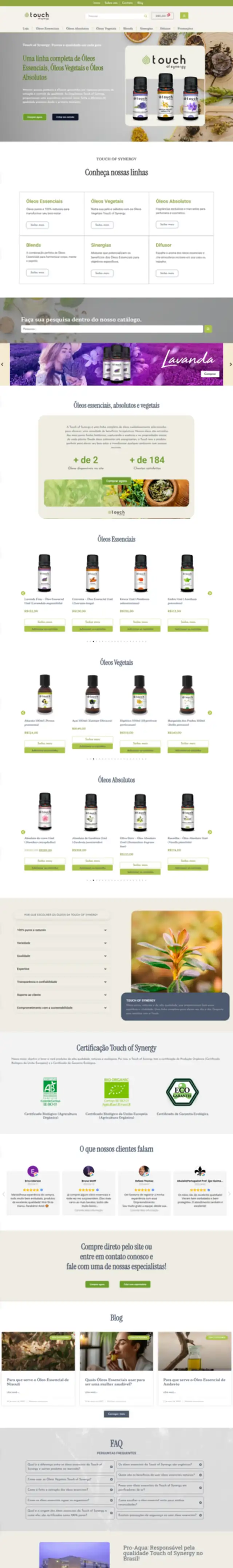 Site desenvolvido pela Ledo para Touch of Synergy - página completa